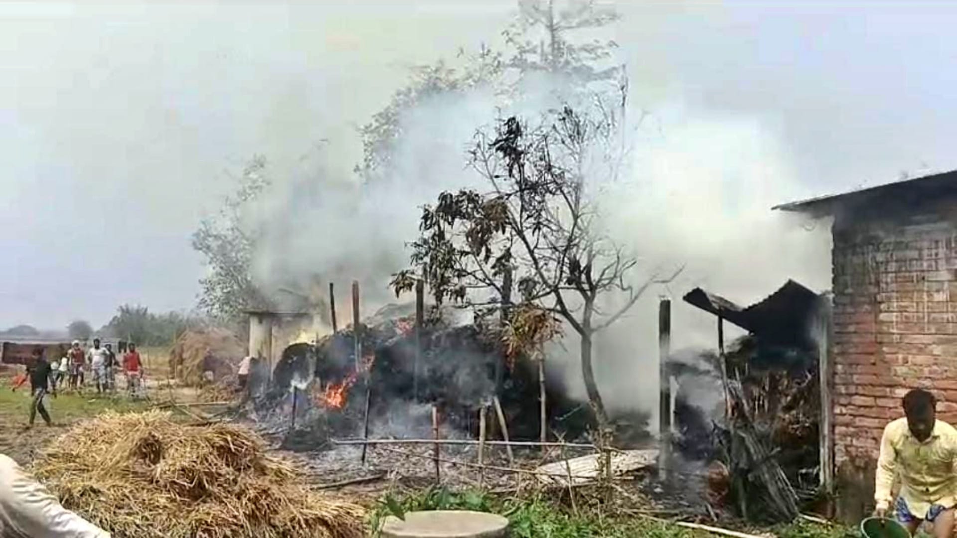 Kishanganj: Dozens of houses burnt to ashes due to massive fire, property worth lakhs lost; 1 cattle also died