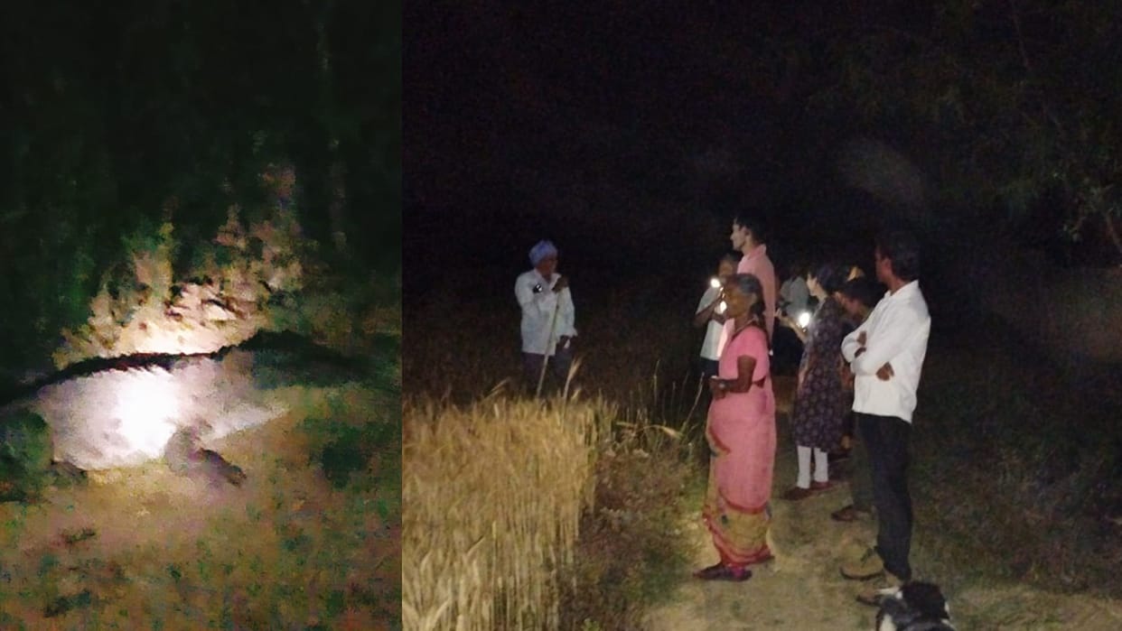 5 feet long crocodile seen in house in Mirzapur