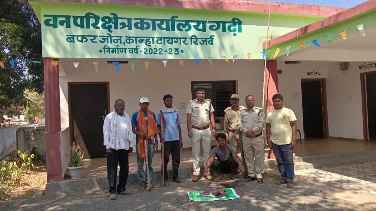 Mandla Accused arrested with rabbit meat case of Beat Khirsadi of Forest Range Gadhi in Kanha Tiger Reserve