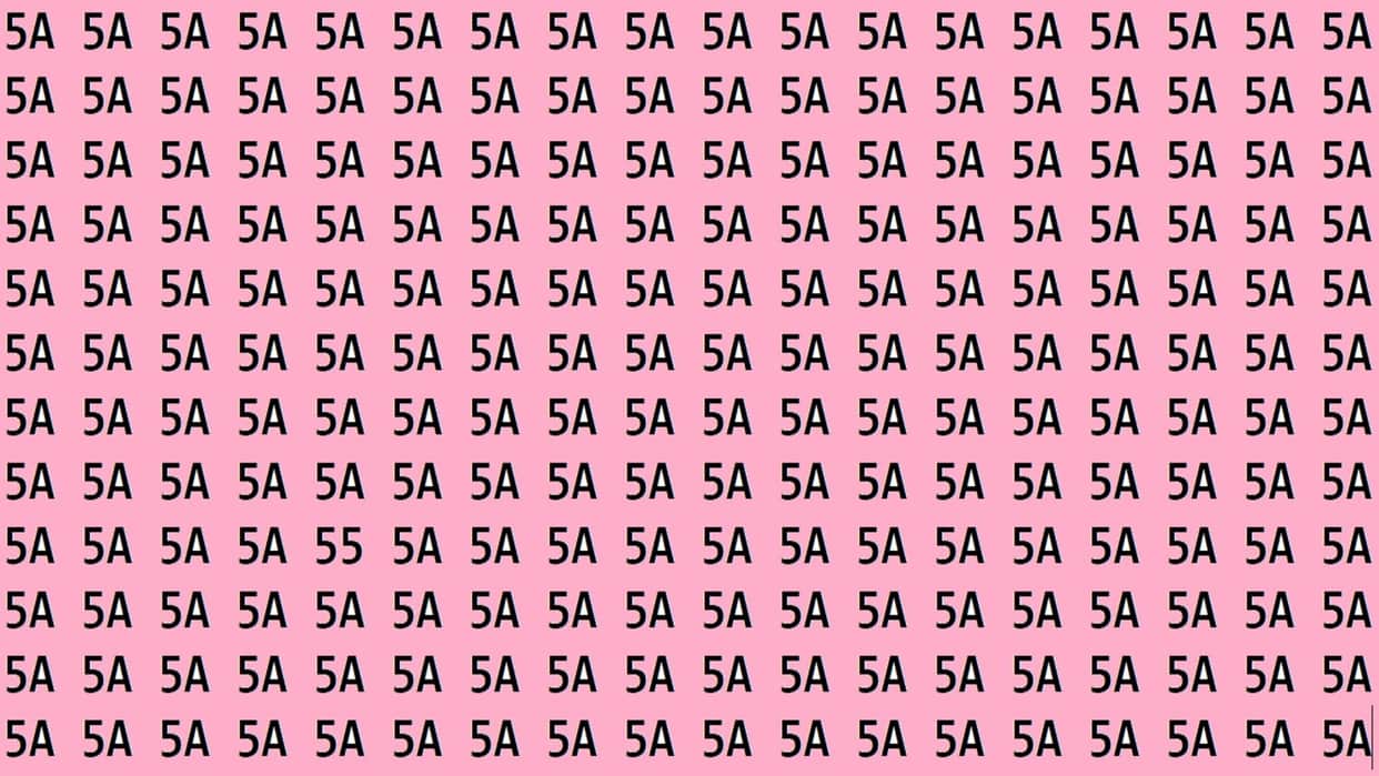 Optical Illusion Iq Test Brain Test If You Have Hawk Eyes then Find 55 in 15 Seconds