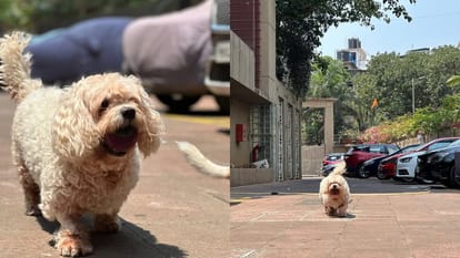Sambhavna Seth shares Emotional Note After Pet Dog Cherry Death says she gave us a lifetime of love