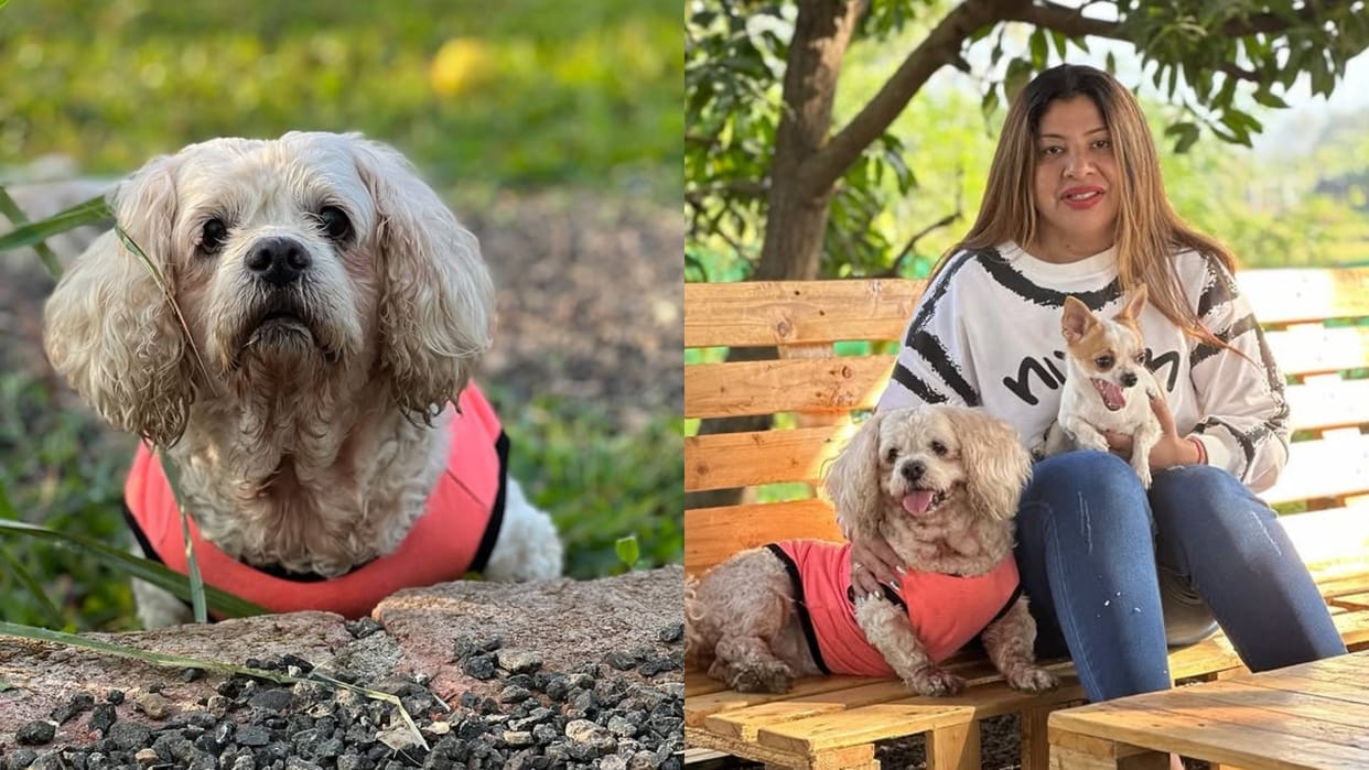 Sambhavna Seth shares Emotional Note After Pet Dog Cherry Death says she gave us a lifetime of love