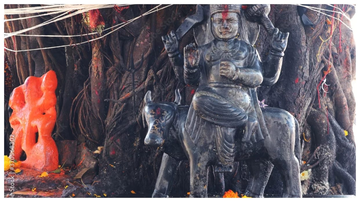 Shani Dev Saturday Upay Mustard Oil Astrological Remedies To Remove Shani Dosh News In Hindi