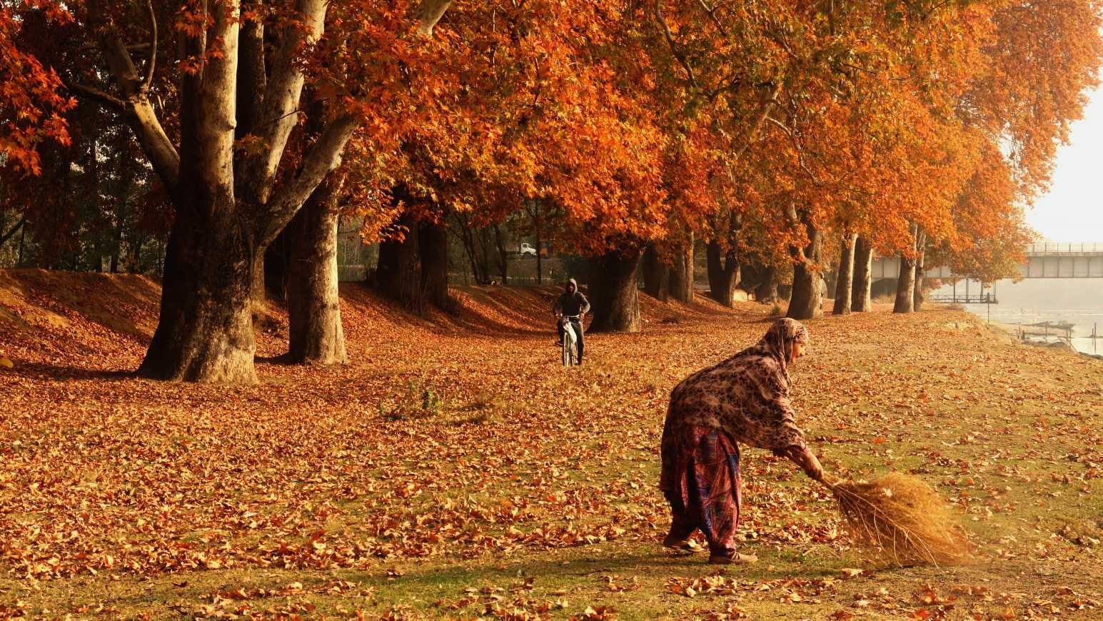 Autumn is a lesson for us Until old thoughts are eradicated there will be nothing new in life