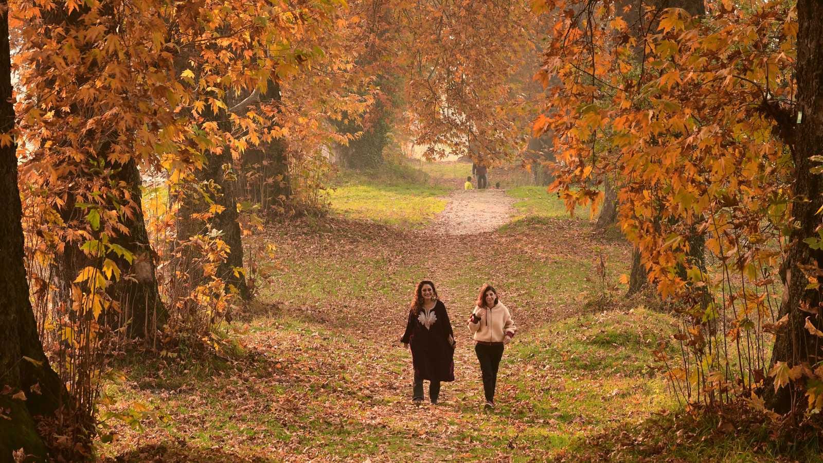 Autumn is a lesson for us Until old thoughts are eradicated there will be nothing new in life