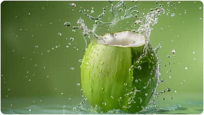 नारियल पानी और सब्जा सीड्स के फायदे