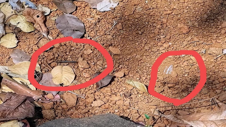 Naxals plans foiled ID was recovered which was used to harm the soldiers in Jagdalpur