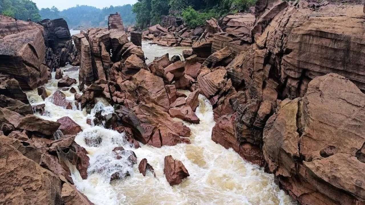 पिकनिक मनाने गए दो लोग पानी में डूबे