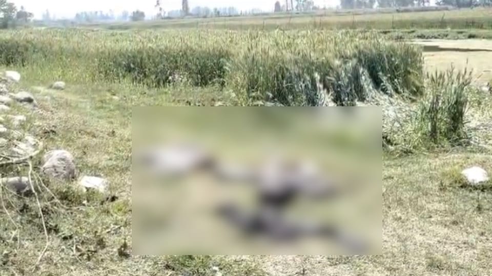 Minor boy was cut into six pieces After Murder Due to enmity stuffed in a sack and thrown away in pilibhit