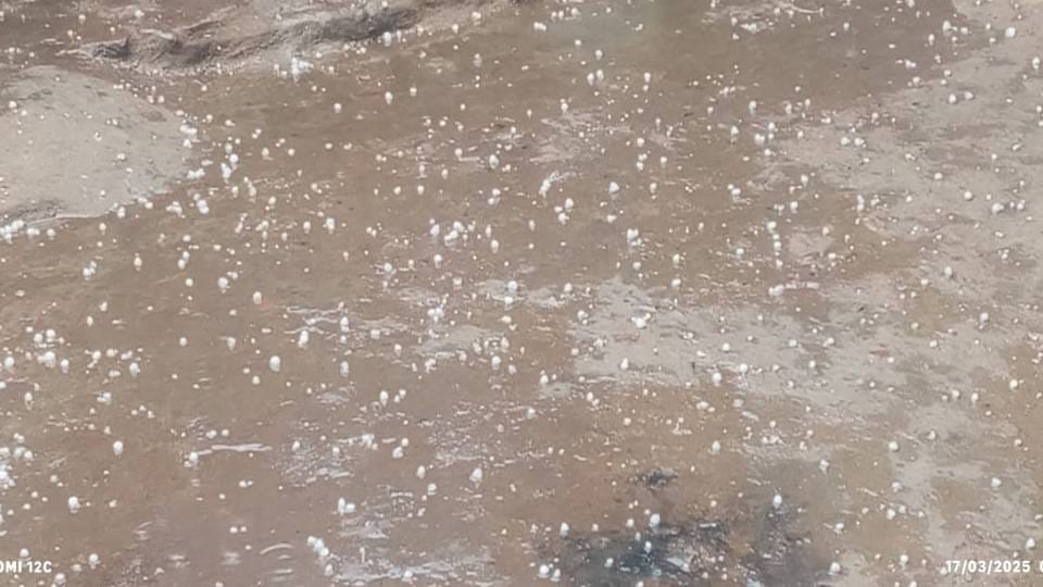 Indore News: Rain and Hailstorm Bring Relief from Heatwave in Madhya Pradesh Till April 15