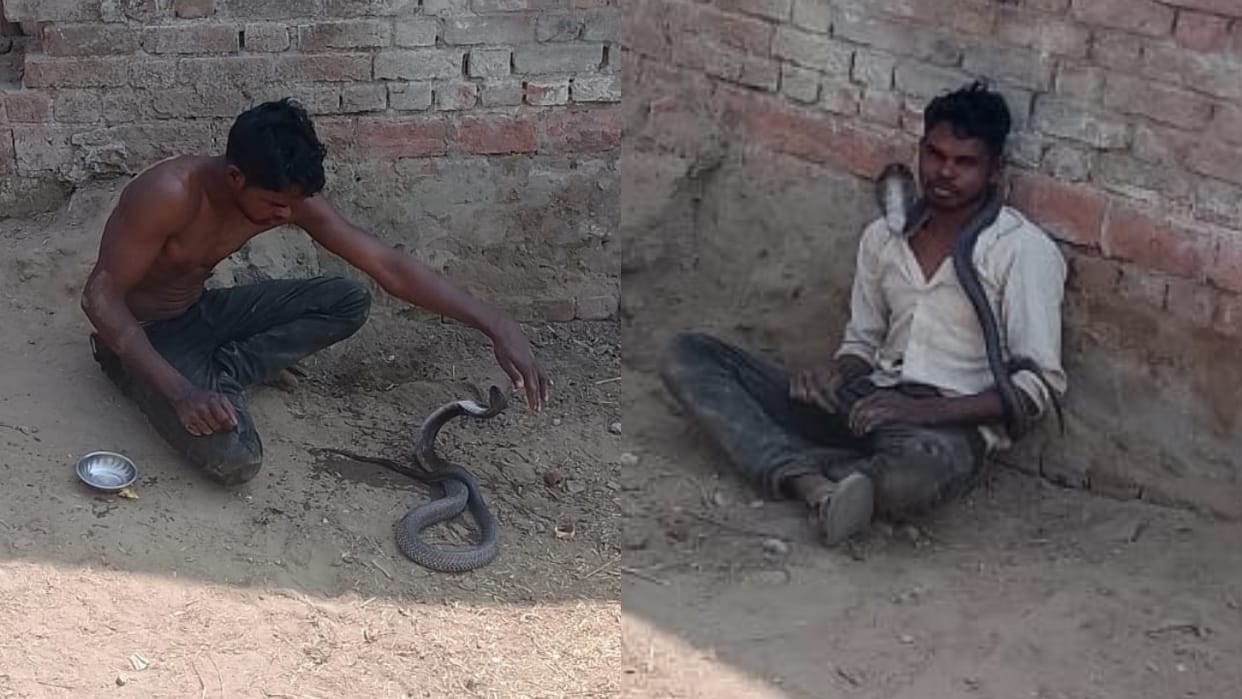 man caught the snake and put his neck got clicked photos he died due to the bite in shahjahanpur
