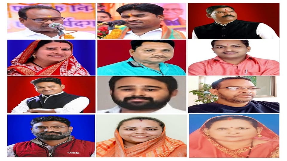 मेयर इन काउंसिल का गठन