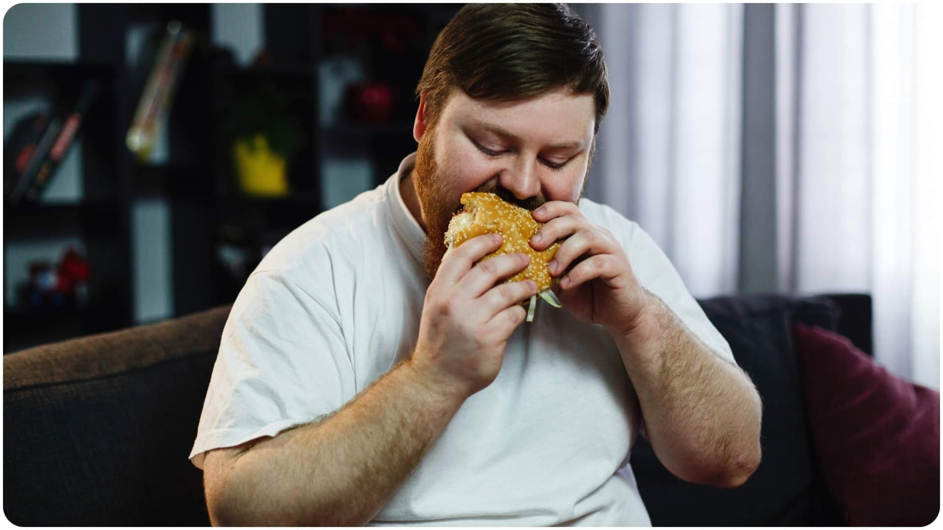 higher levels of carbon dioxide in the atmosphere may cause weight gain know how