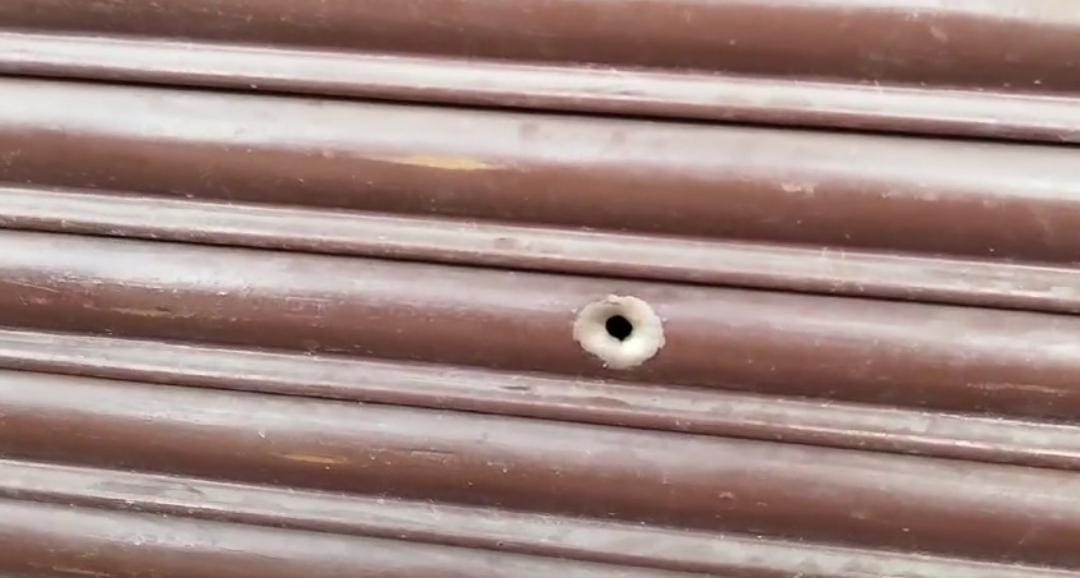 Bihar: Miscreants opened fire in Sahebganj market in Muzaffarpur