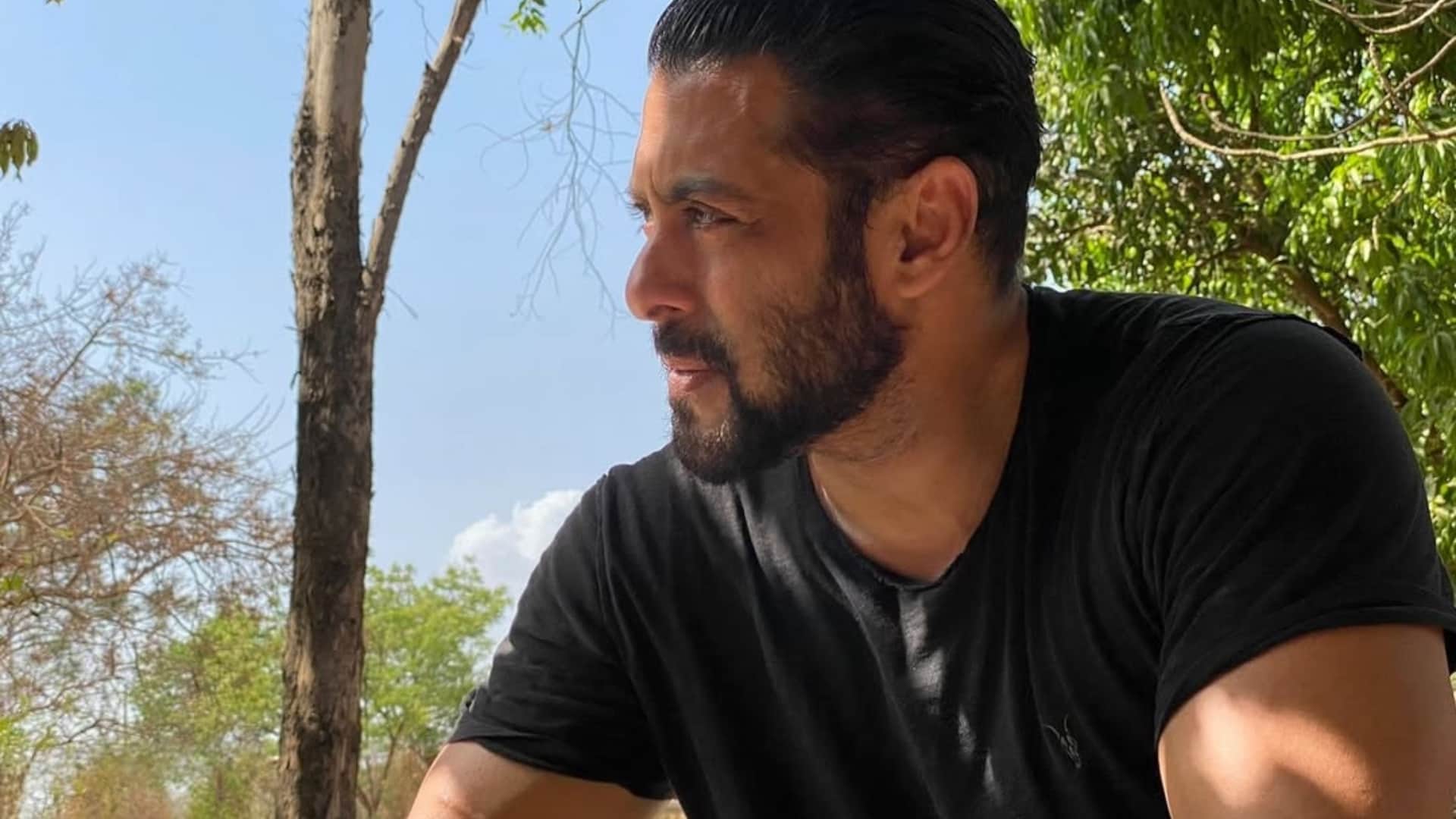 Salman Khan's Last 10 Movies Performance and Collections Bajrangi Bhaijaan Bharat Radhe Dabangg Tiger 3