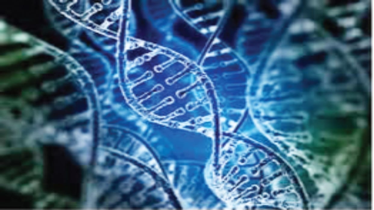 Gene therapy is 73% effective in treating blood cancer, revealed by tests conducted in Delhi AIIMS