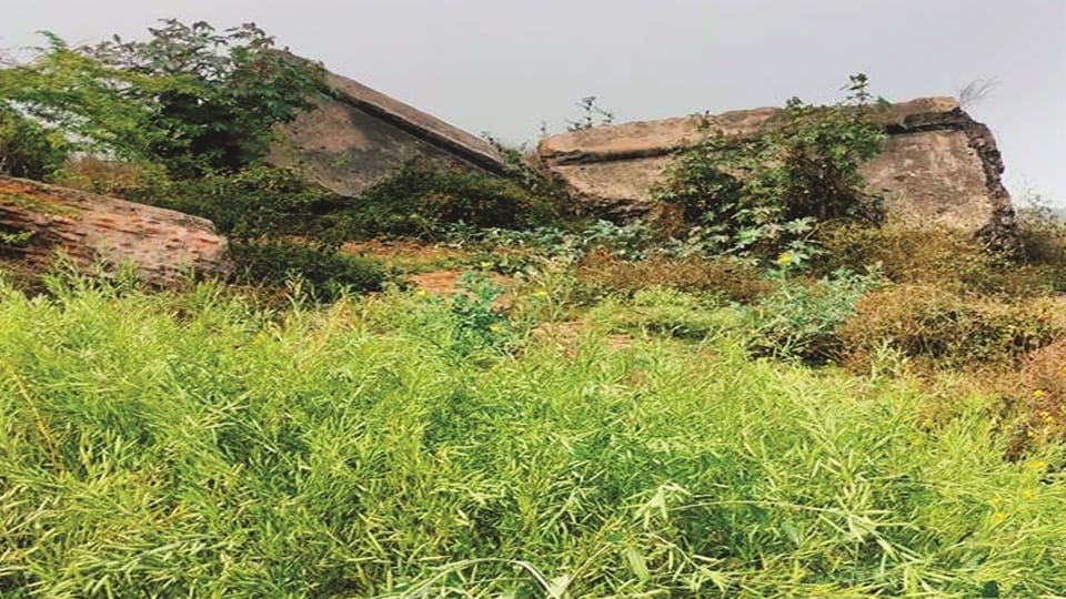 Gambhira Fort of Vijaygarh
