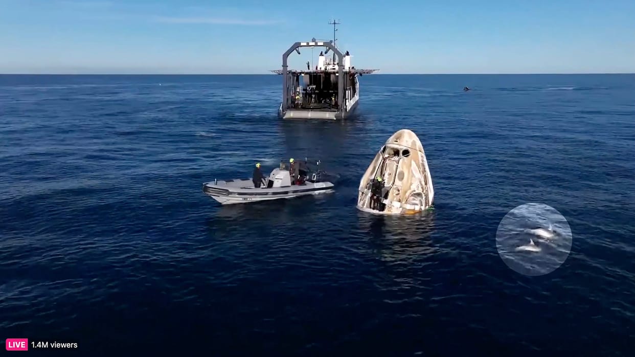 dolphins gathered curiously around SpaceX's Dragon Freedom capsule to welcome Sunita Williams