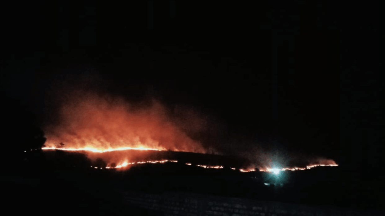 CG Forest Fire Jogi Pali Kanki forest blazed