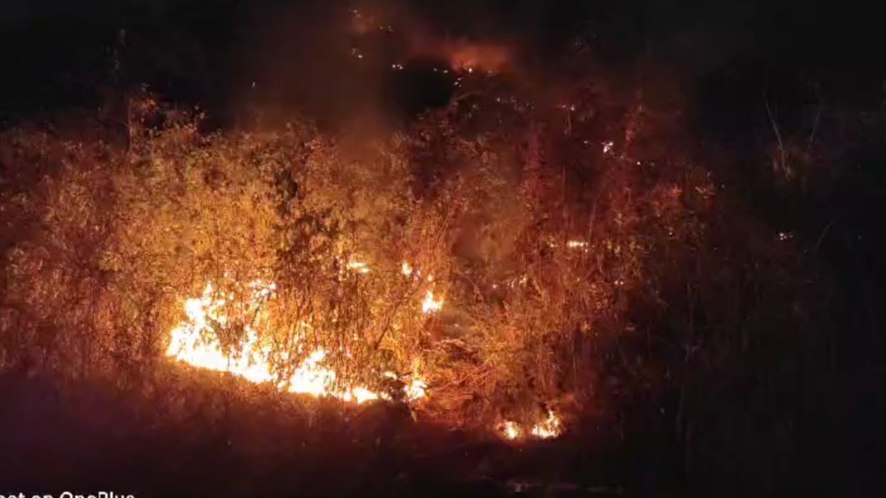 Fire has been raging in mountains of Kharsia forest area for four days