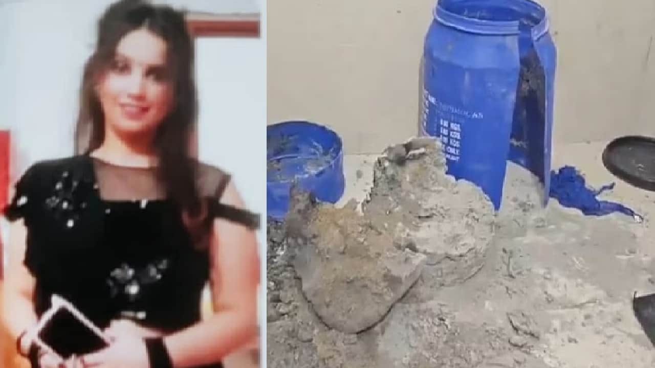 Saurabh murder case: Witness says severed head in one bag, another contained razor-shaped handprints