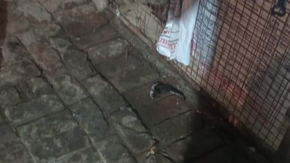 Petrol bomb thrown outside liquor shop in Amritsar