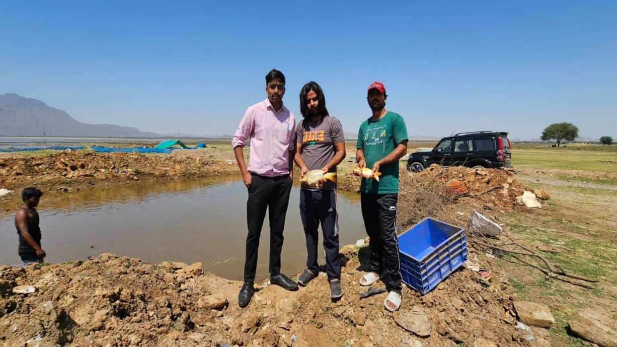 Good news for fish farmers in Sirohi Omnivorous Common Carp fish successfully bred know what will be benefits