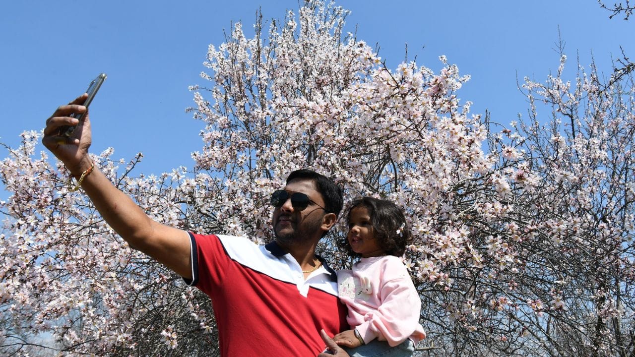 Every picture of Badamwadi Garden tells a story; See pictures of blooming almond flowers, the charming beauty