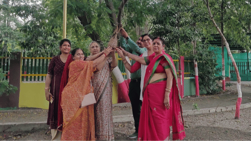 Indore News Efforts to Save Sparrows in Indore, 500 Bird Nests to Be Installed