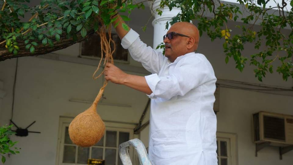 Nests were installed in Congress office on World Sparrow Day pledge taken to provide food and water