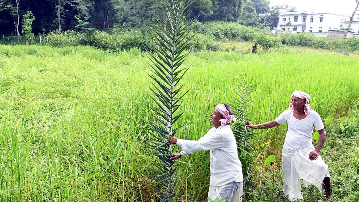 Bharatiya Kisan Sangh called the sale of Parakot glyphosate as serving cancer for free demanded action