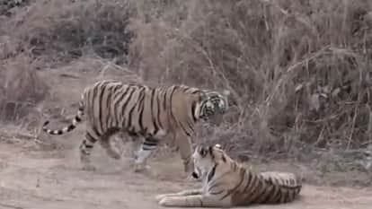 राजस्थान