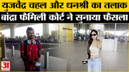 Yuzvendra Chahal-Dhanashree Verma Divorce: Yuzvendra Chahal and Dhanashree Verma parted ways