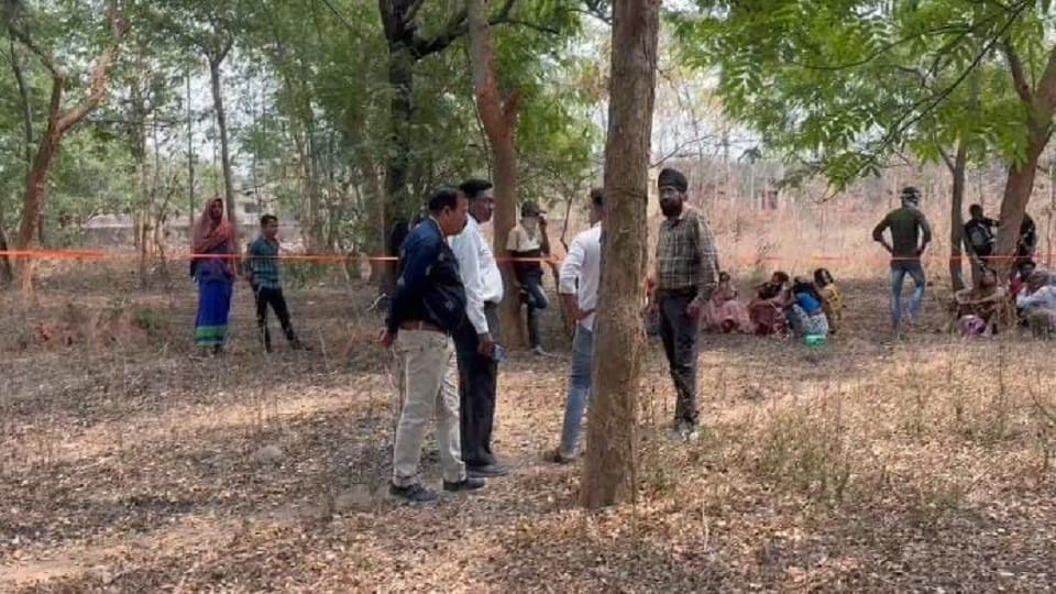 game of occupation started after elections green forests are being cut oxygen zones are in danger