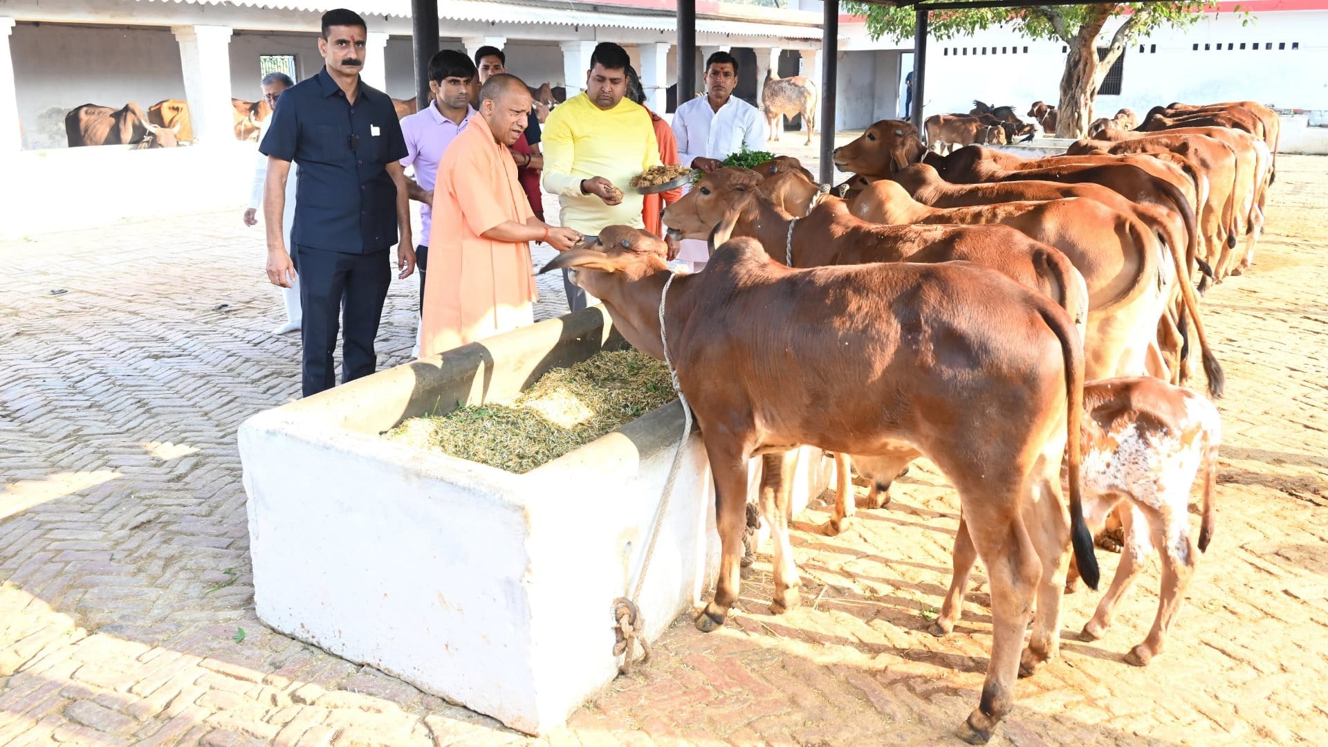 Uttar Pradesh CM Yogi Adityanath offers prayers at Pateshwari Devi temple in Balrampur.
