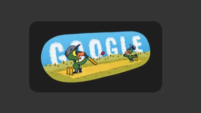IPL 2025 Google Doodle