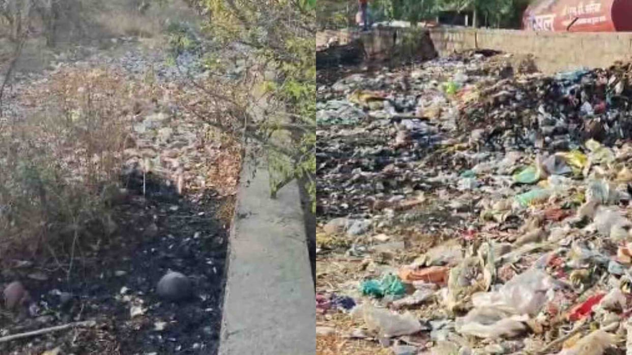 Bhopal News: Even after the fire incident, the garbage of Ecological Park was not cleaned