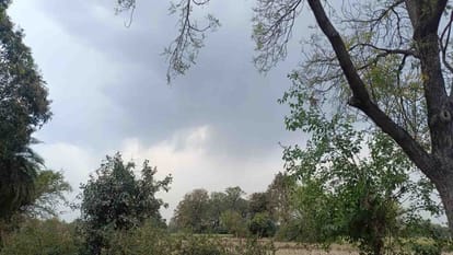 Weather Update: Winds clashed, lightning flashed, brought rain, cyclonic circle formed in Bay of Bengal