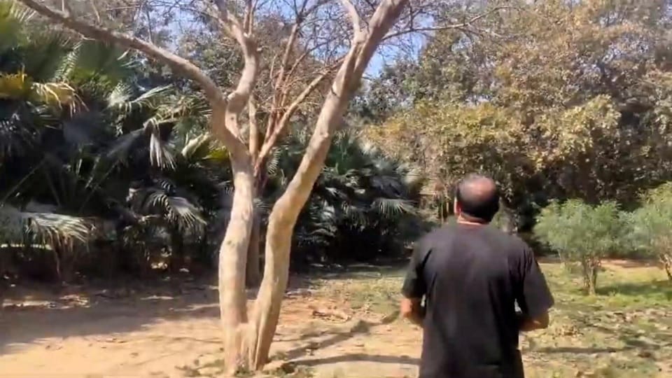 bodies of a boy and a girl were found hanging from a tree in Deer Park in South West District of Delhi