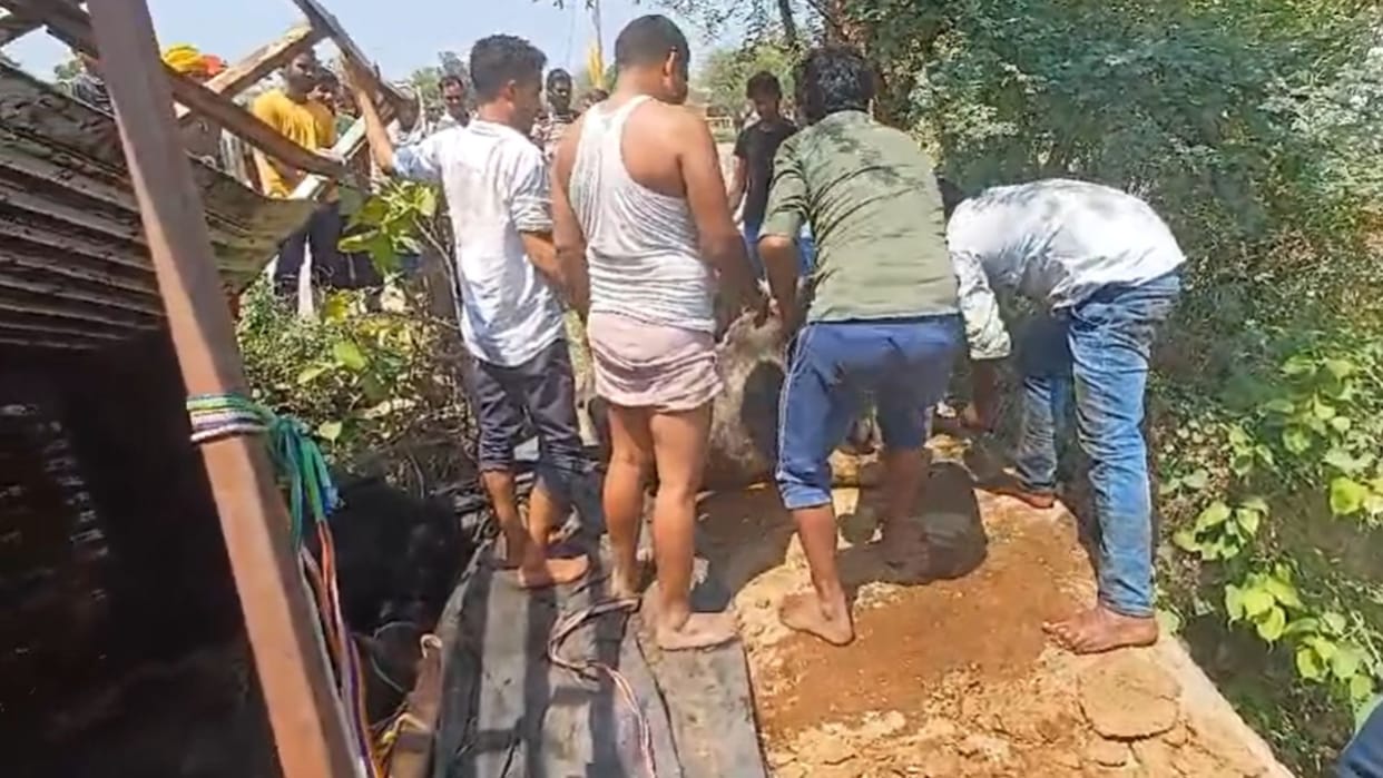 Truck full of protected animals overturned in canal 15 dead animal smuggler absconding
