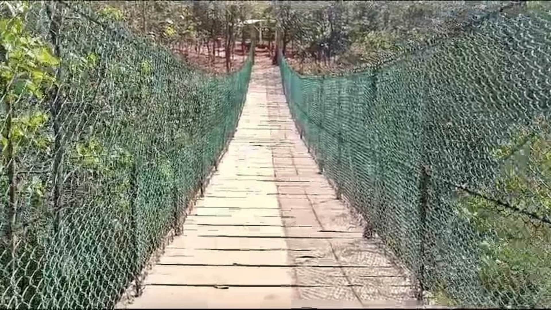 Rajgir: Trouble due to increased crowd in Nature-Zoo Safari, tourists disappointed due to lack of facilities