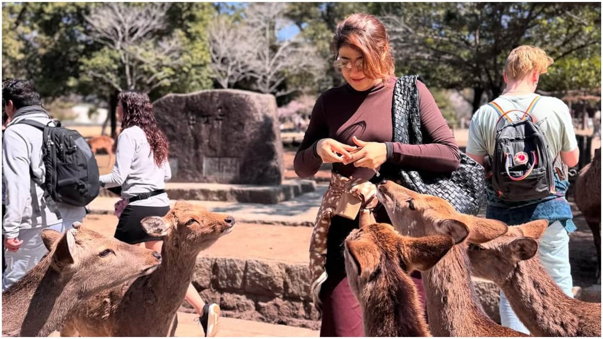 Tahira Kashyap shared her japan trip pictures writes Kyoto was simple living at its best