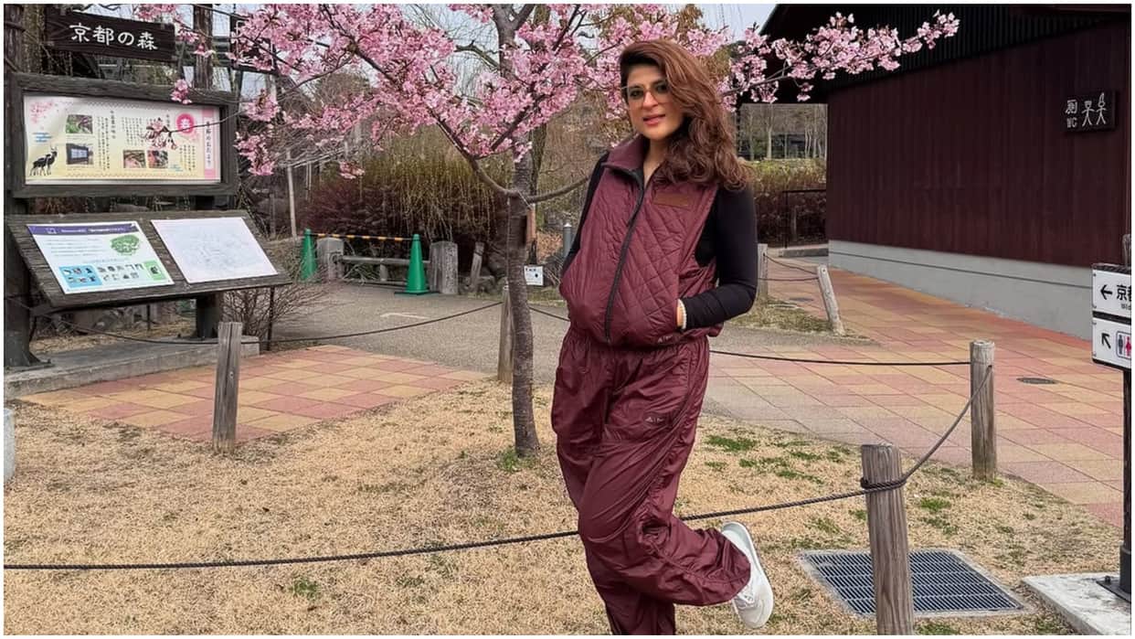 Ayushmann Khurrana wife Tahira Kashyap breast cancer has relapsed in 7 years know its risk factors
