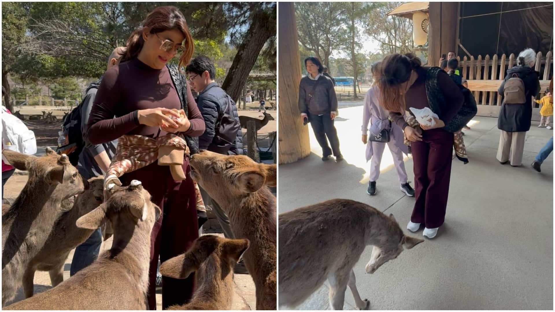 Tahira Kashyap shared her japan trip pictures writes Kyoto was simple living at its best