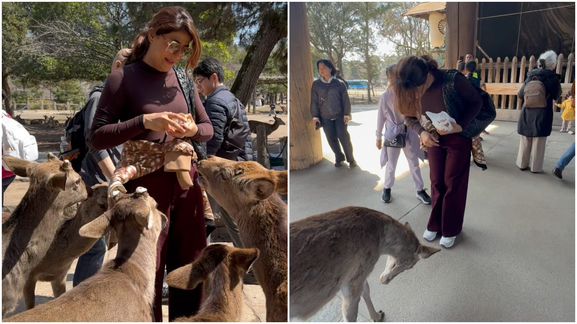 Tahira Kashyap shared her japan trip pictures writes Kyoto was simple living at its best