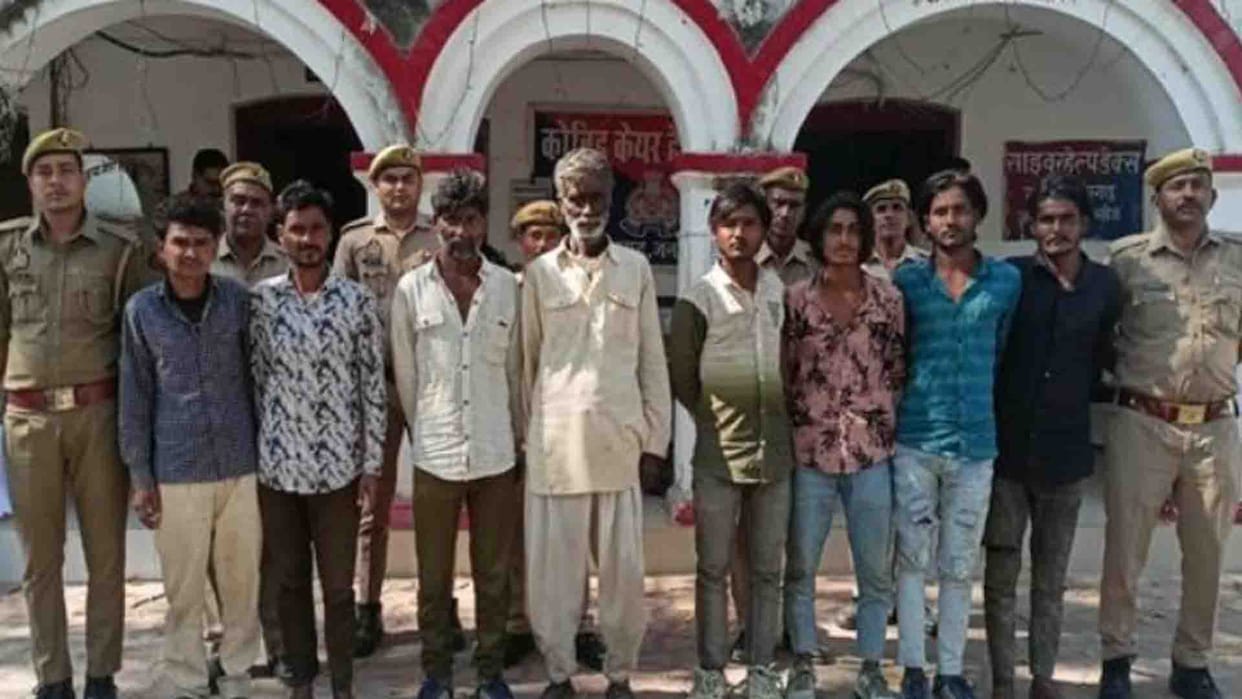 Kannauj: 39 cattle recovered from DCM, eight smugglers arrested