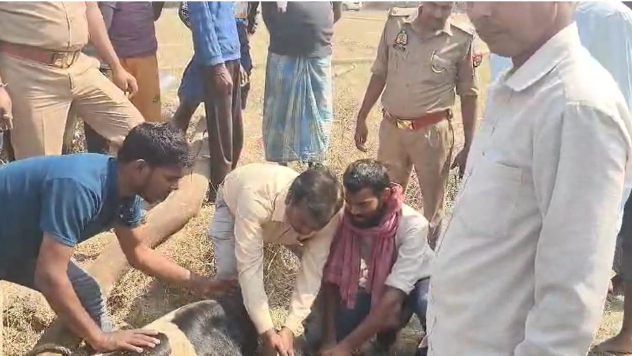 Nandi rescued fell into the well commotion in the village