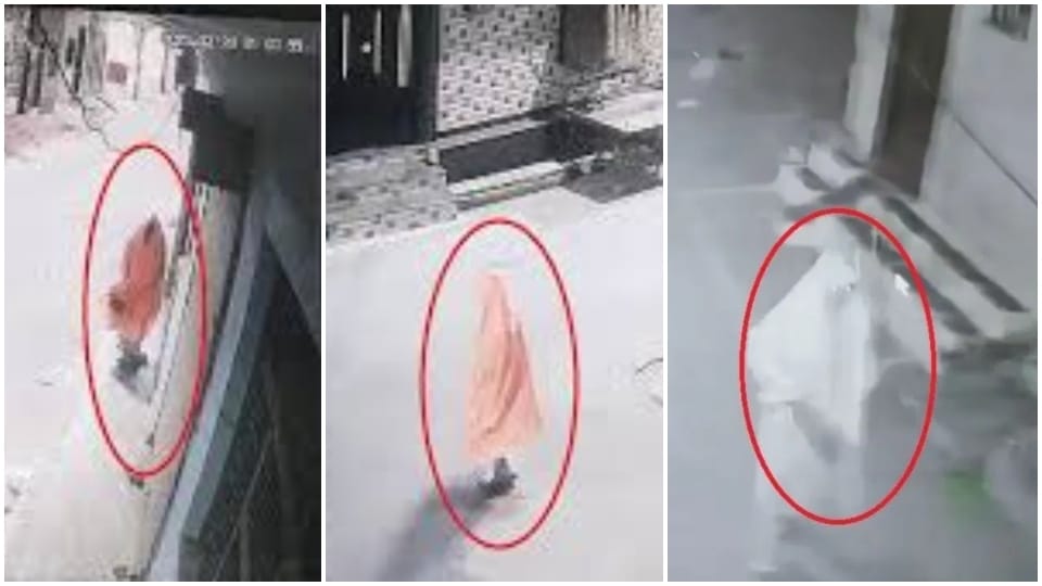 सीसीटीवी में कैद हुई महिला।