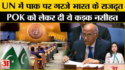 Indo-Pak Relations: India's ambassador to the UN shows the mirror to Pakistan on the Kashmir issue.