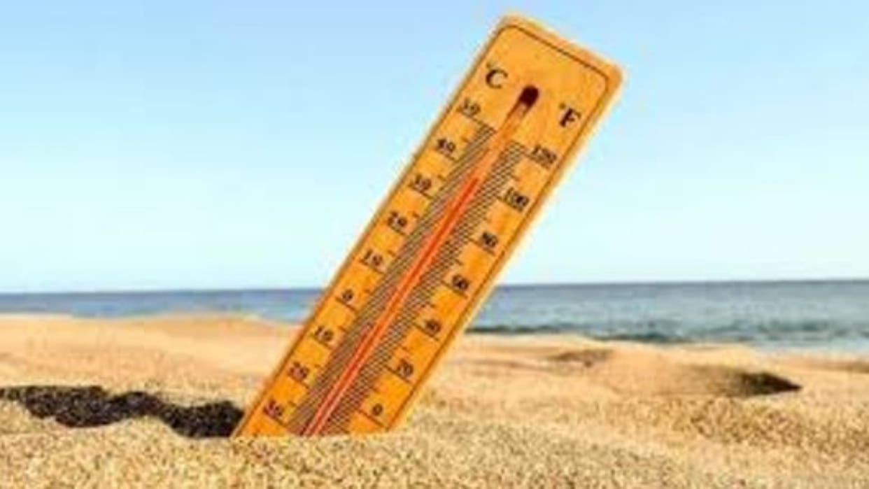 Rajasthan Weather Today: Scorching Heat Grips the Desert, Temperature Soars to 42°C in March